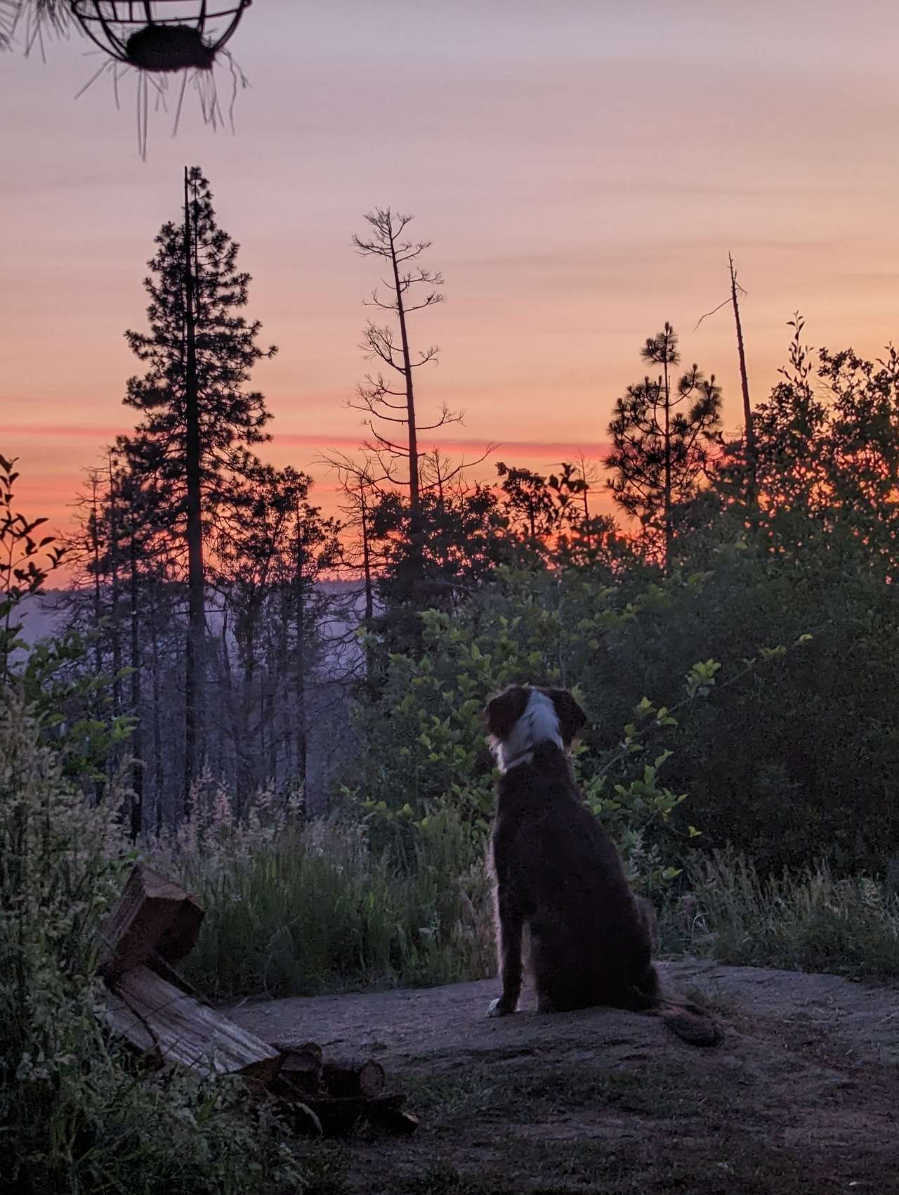 Sunsets in Sierra Nevada