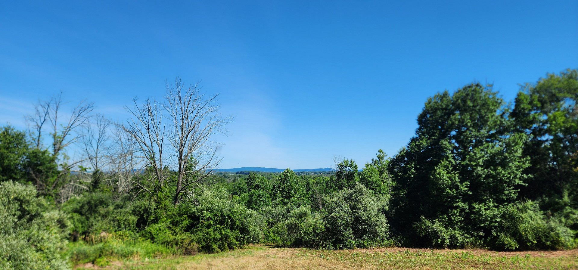 33 Acre Farm And Retreat