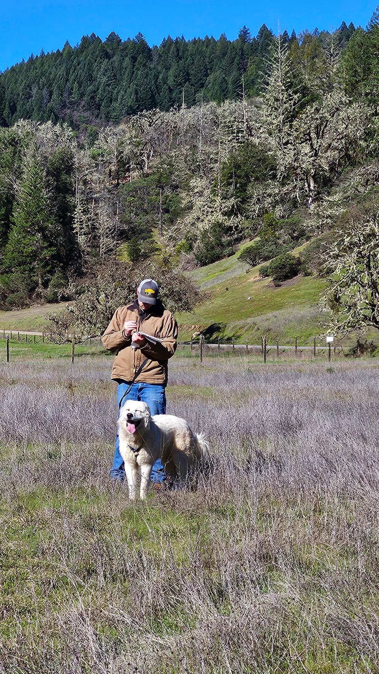 Primal Lands at OZ Family Farm