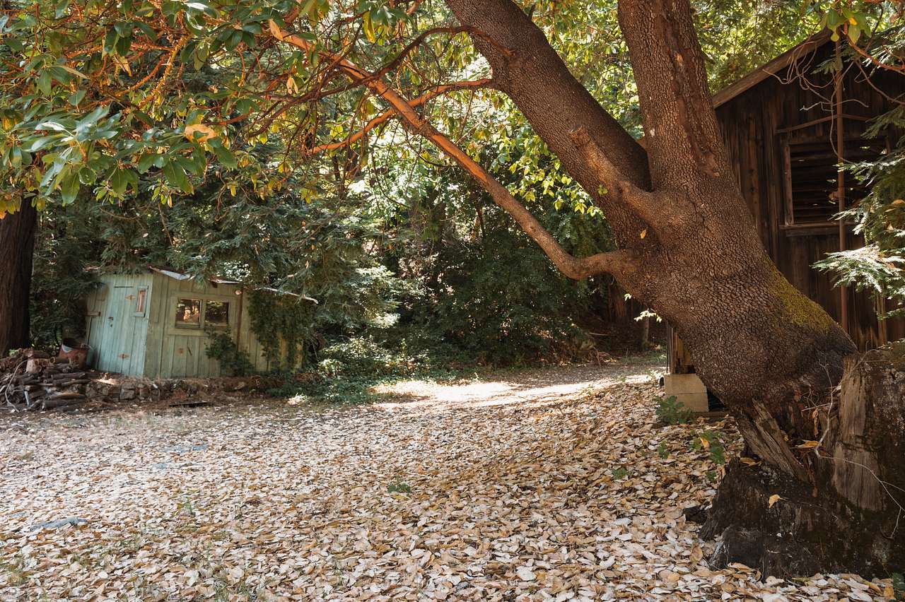 love hearing the crunch of leaves 