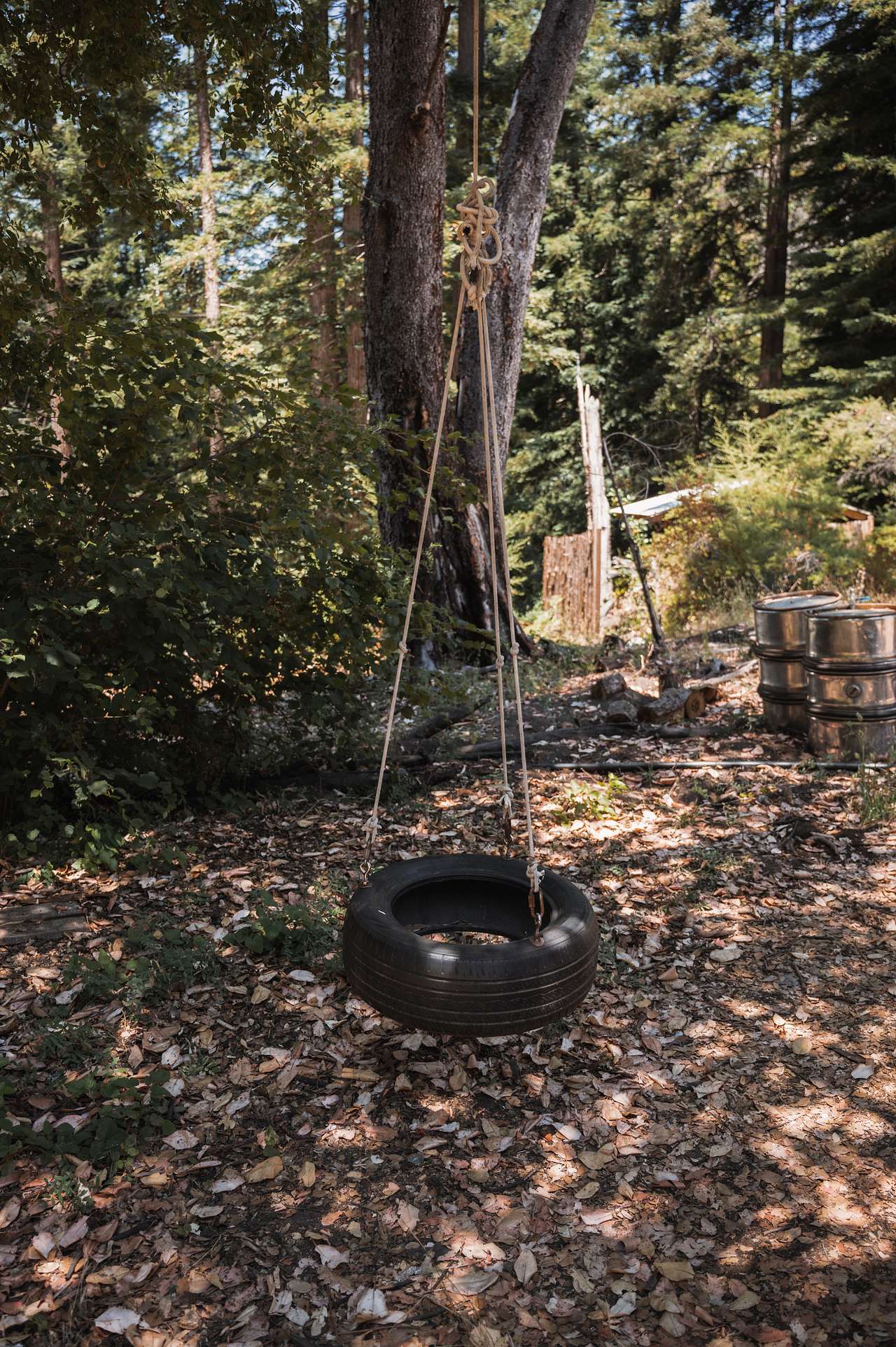 fun tire swing to play on