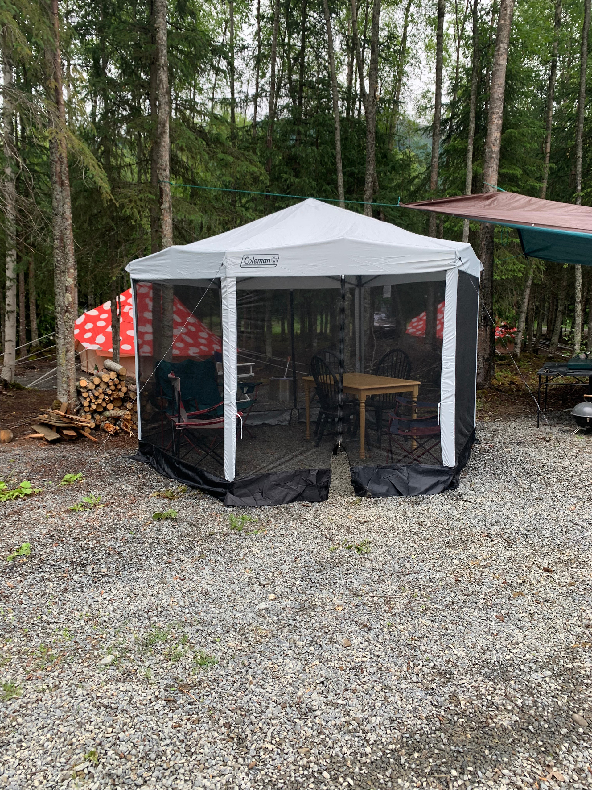 Gnome Dome & Mushroom Room Hope AK