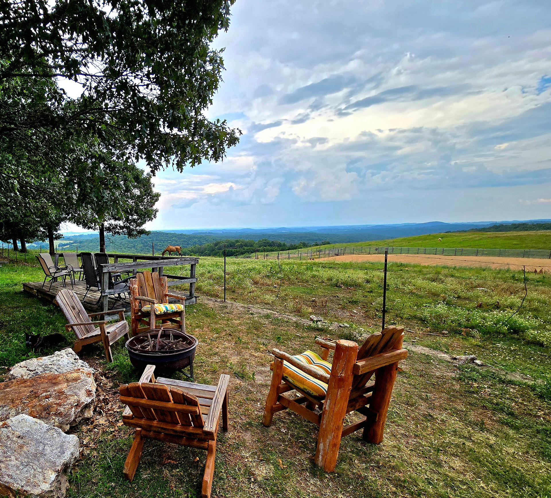 Dally Ridge Ranch - Barnabus