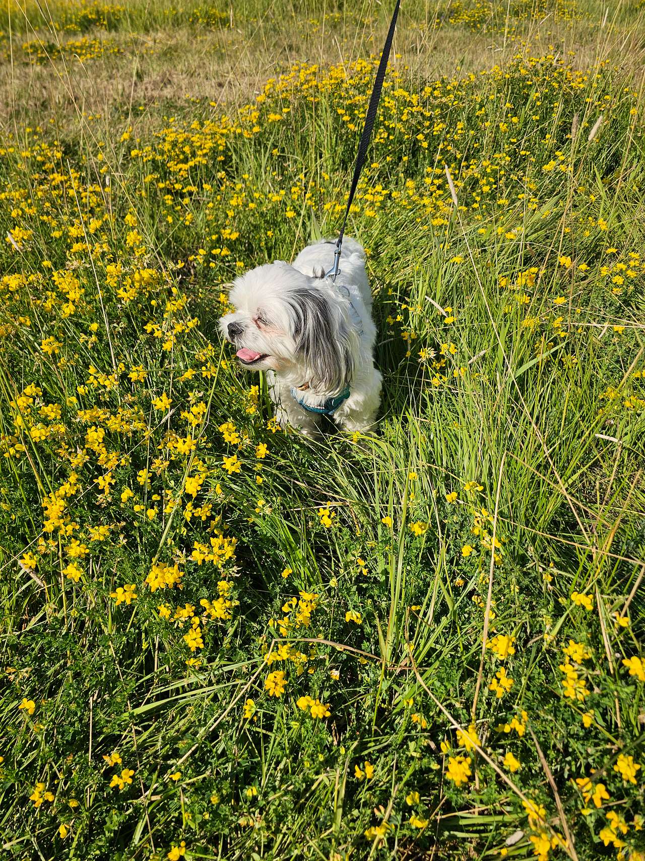 field area by our RV