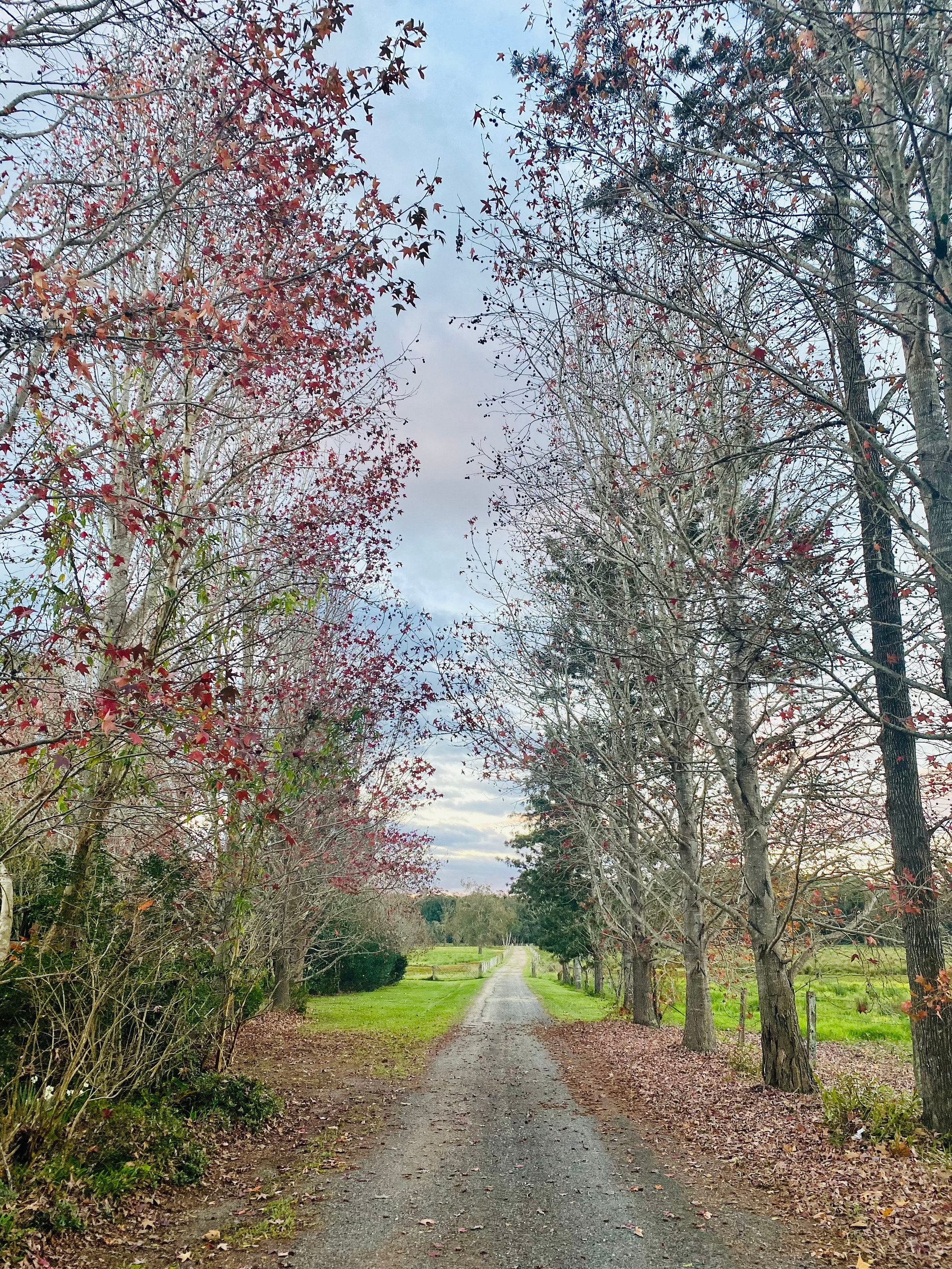Riverlea Green,  Nambucca Valley