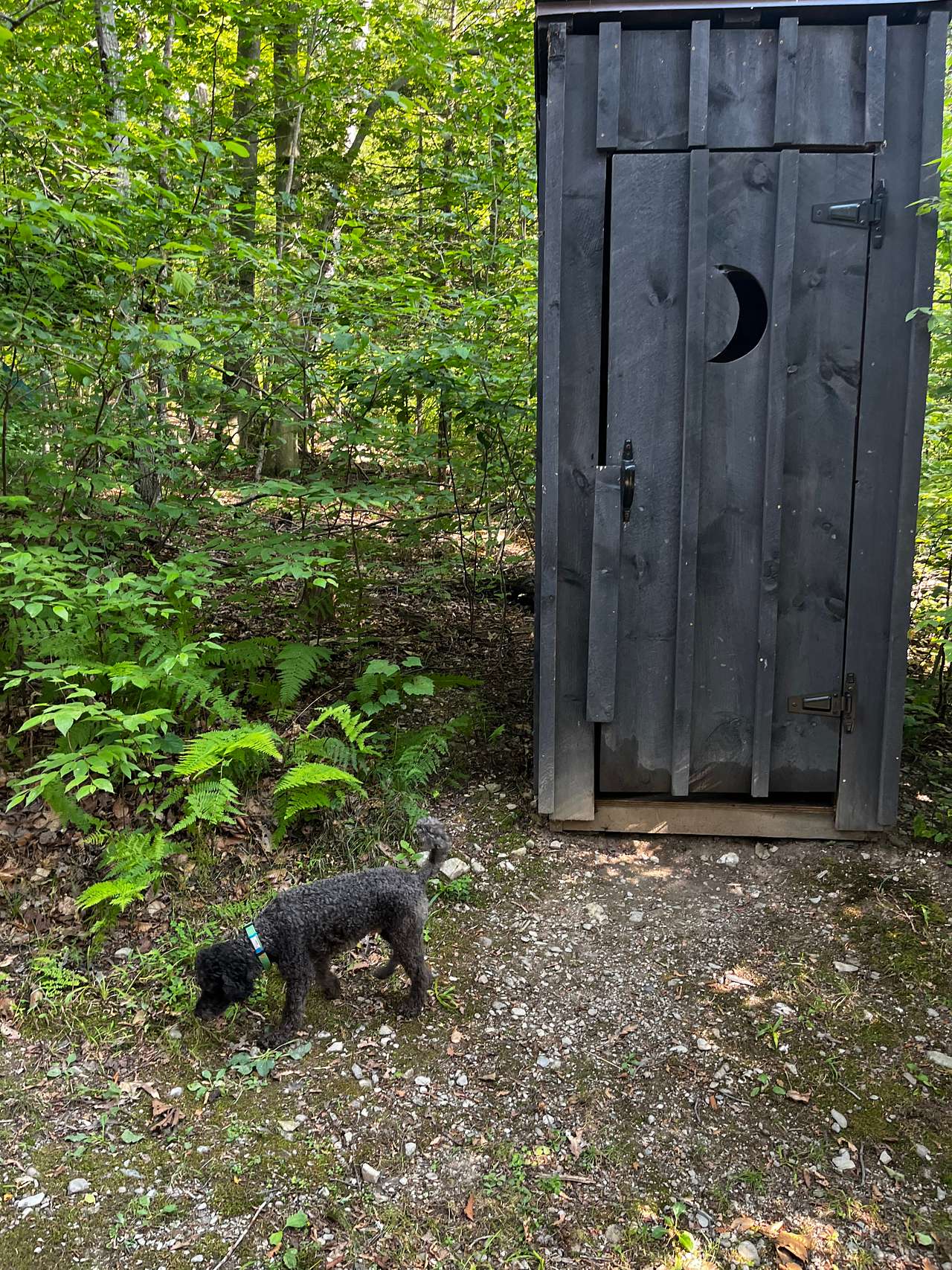 Hucklebuck Railway Campsites