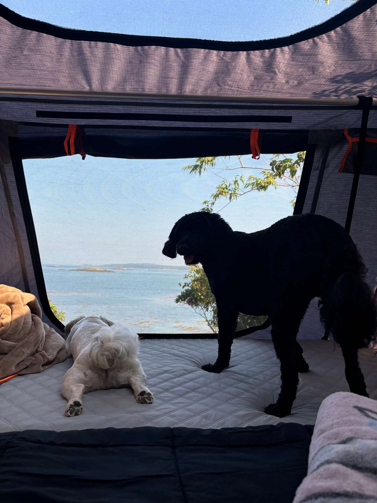 Searenity Beachfront Land Off Grid