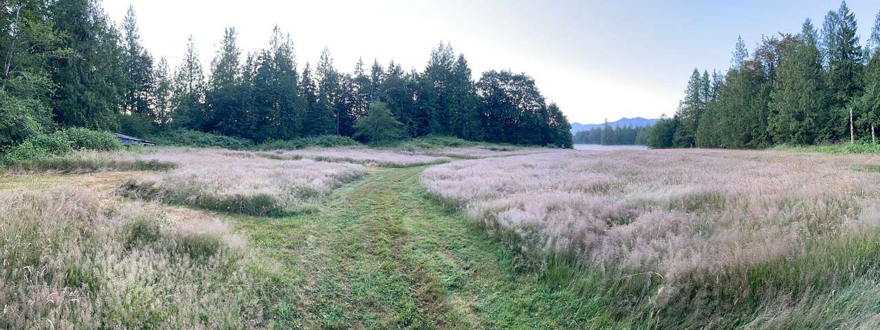 The PNW Landing (Monroe)