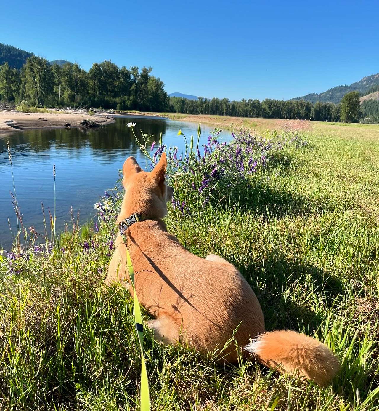 Big Sky Camping
