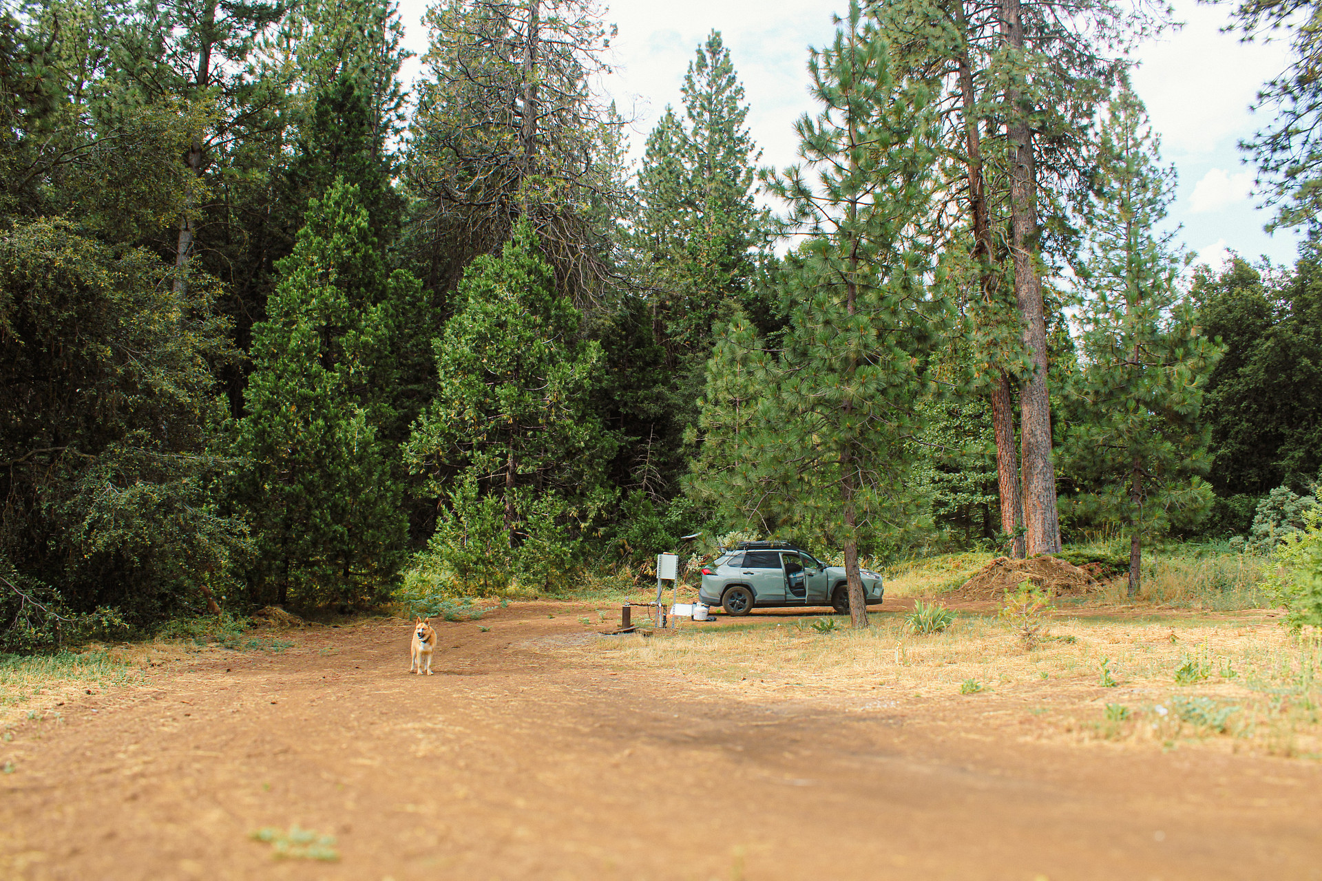 This spot was very large, so plenty of room for an RV and campers