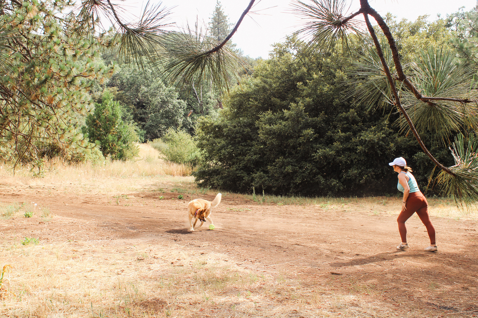 Had so much room to play with the pup! There are wild animals, as always, be safety and keep your pup in sight!