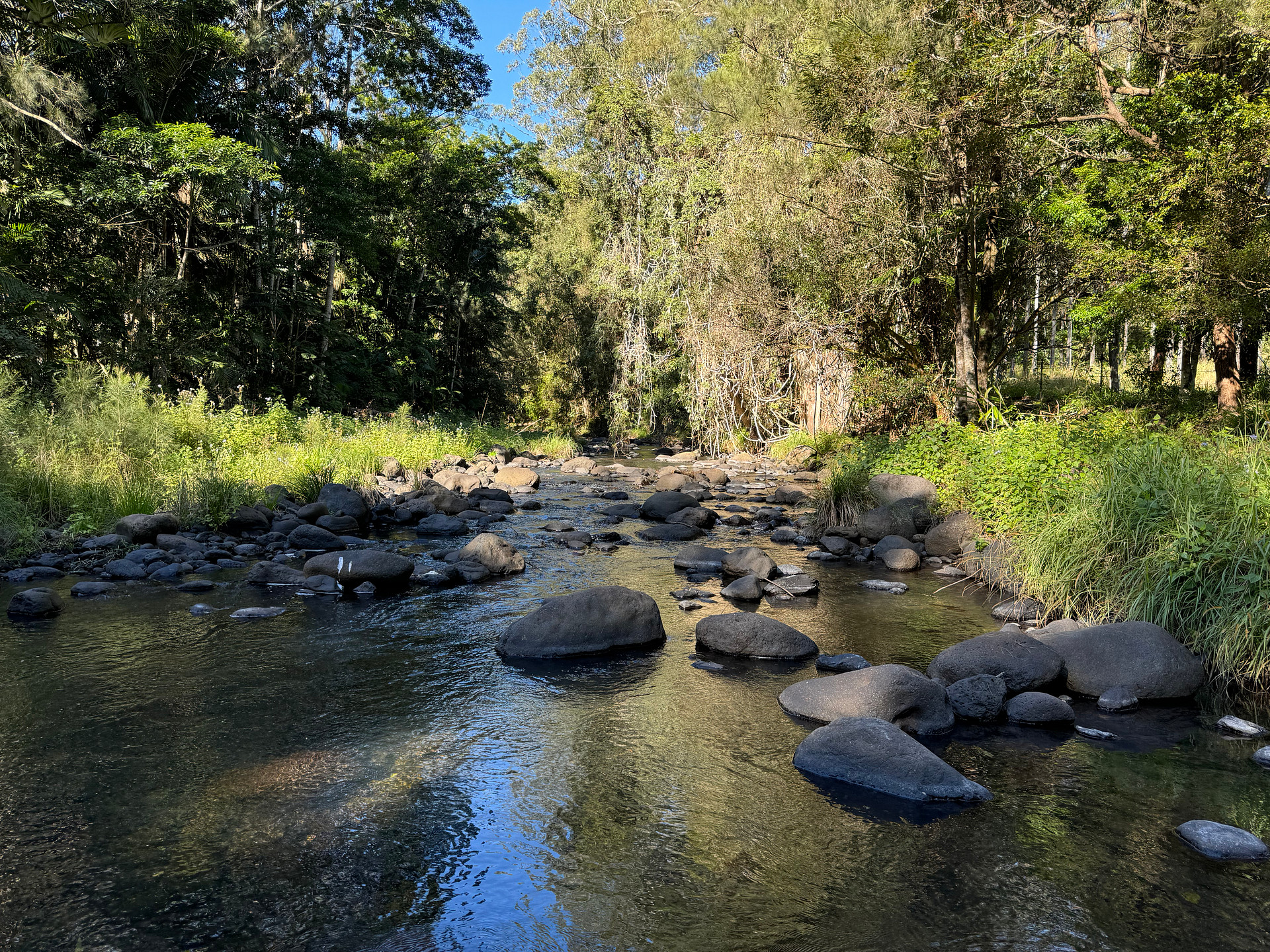 Warrazambil Creek Camp