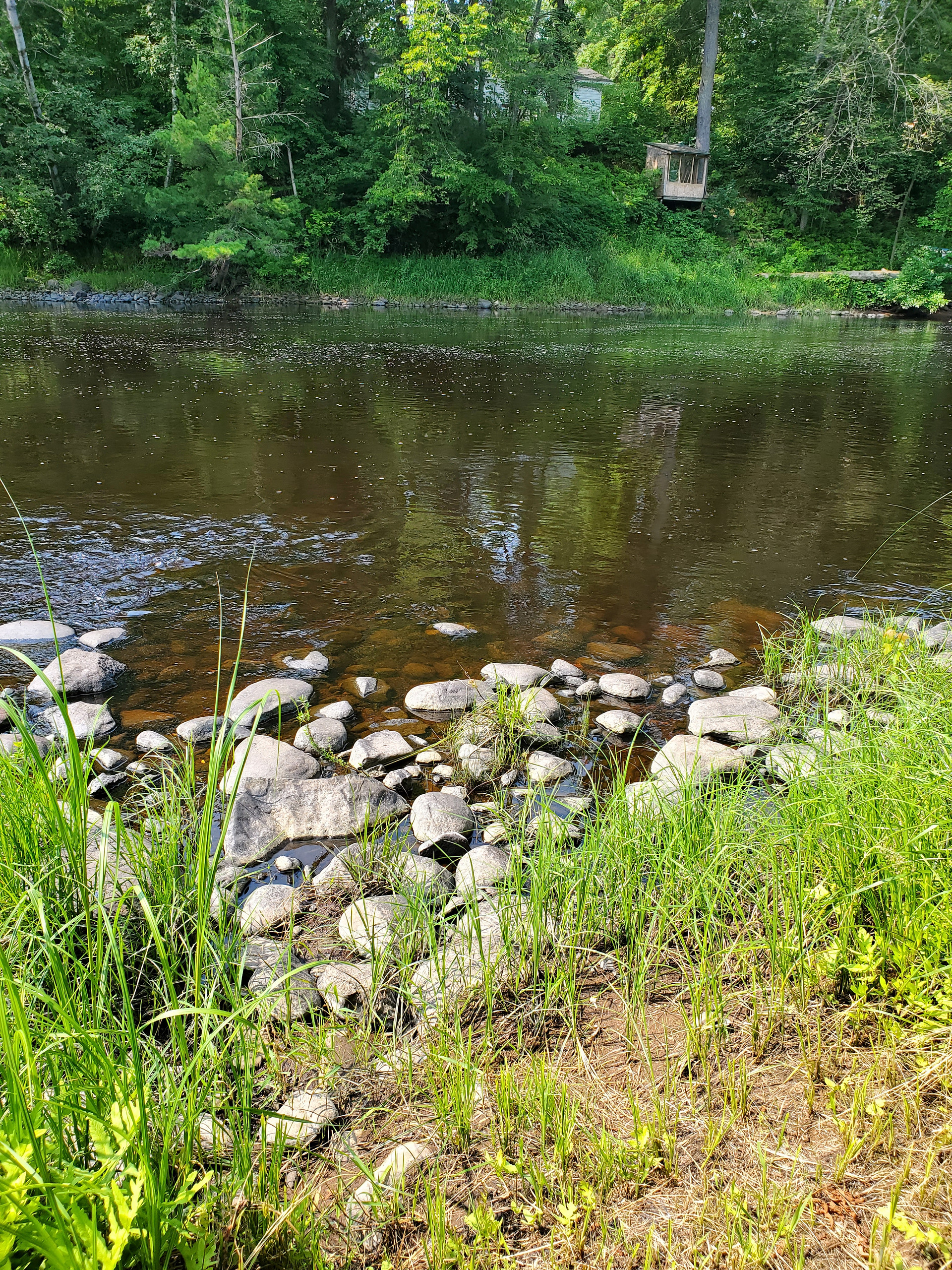 Rocks right next to tent site, walk out here for casual river access.