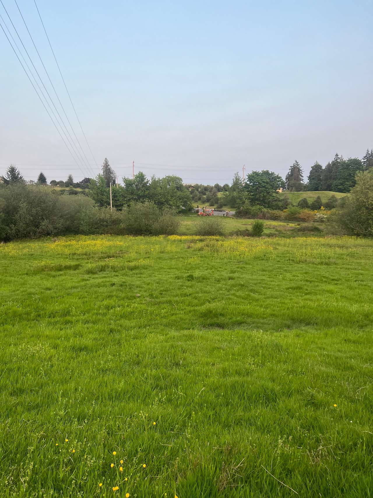 Camp at Nelson Valley Farm