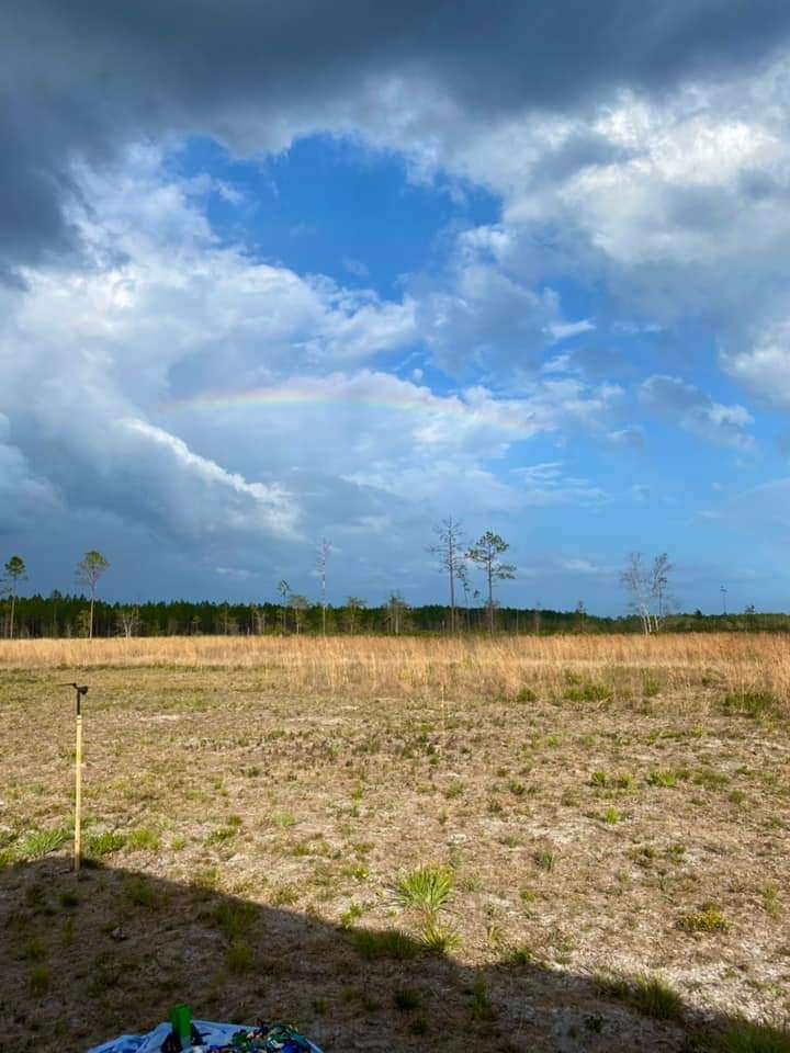 Camp Z Folkston Georgia