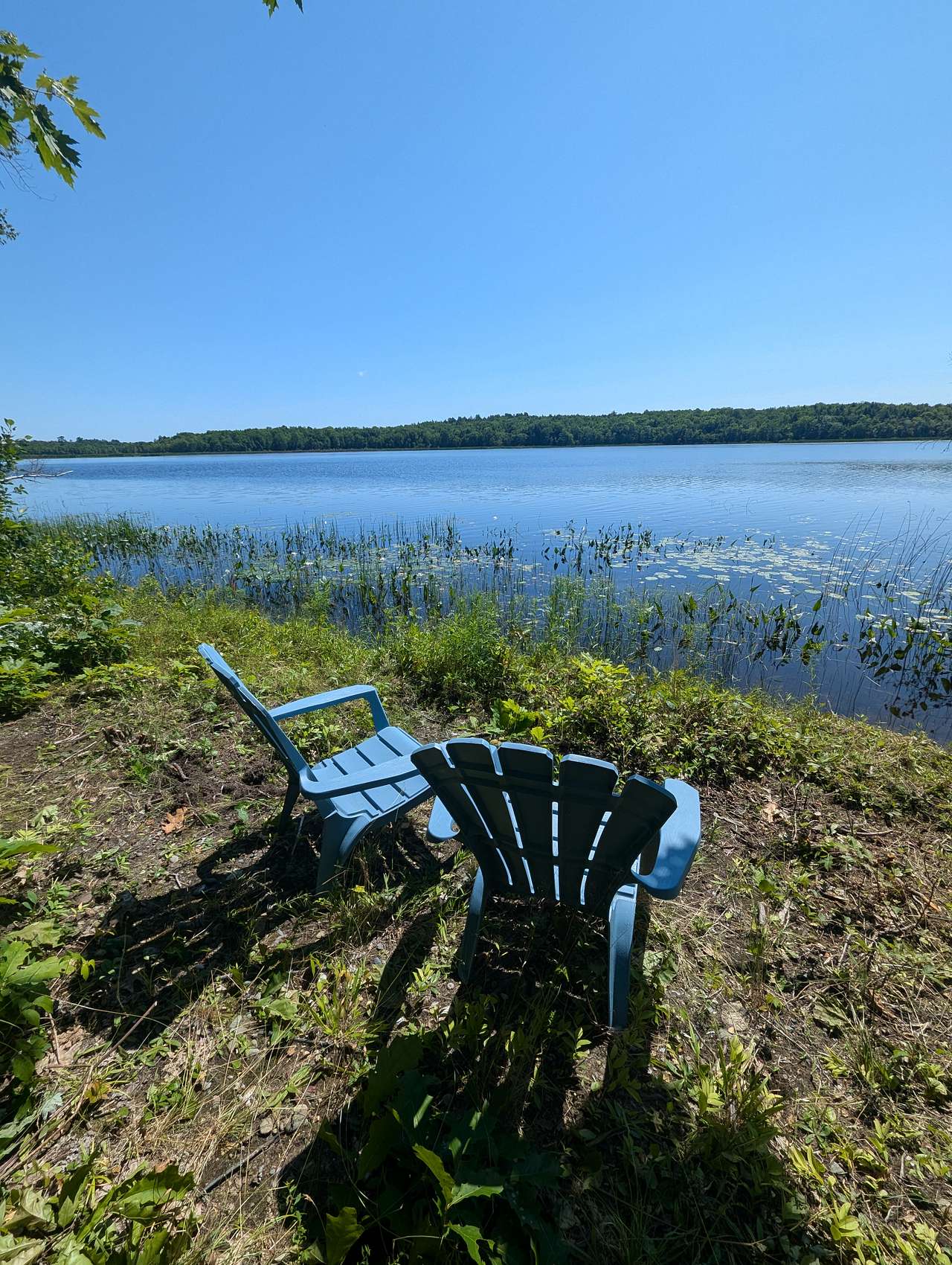 Private Waterfront Cabin/Campsites