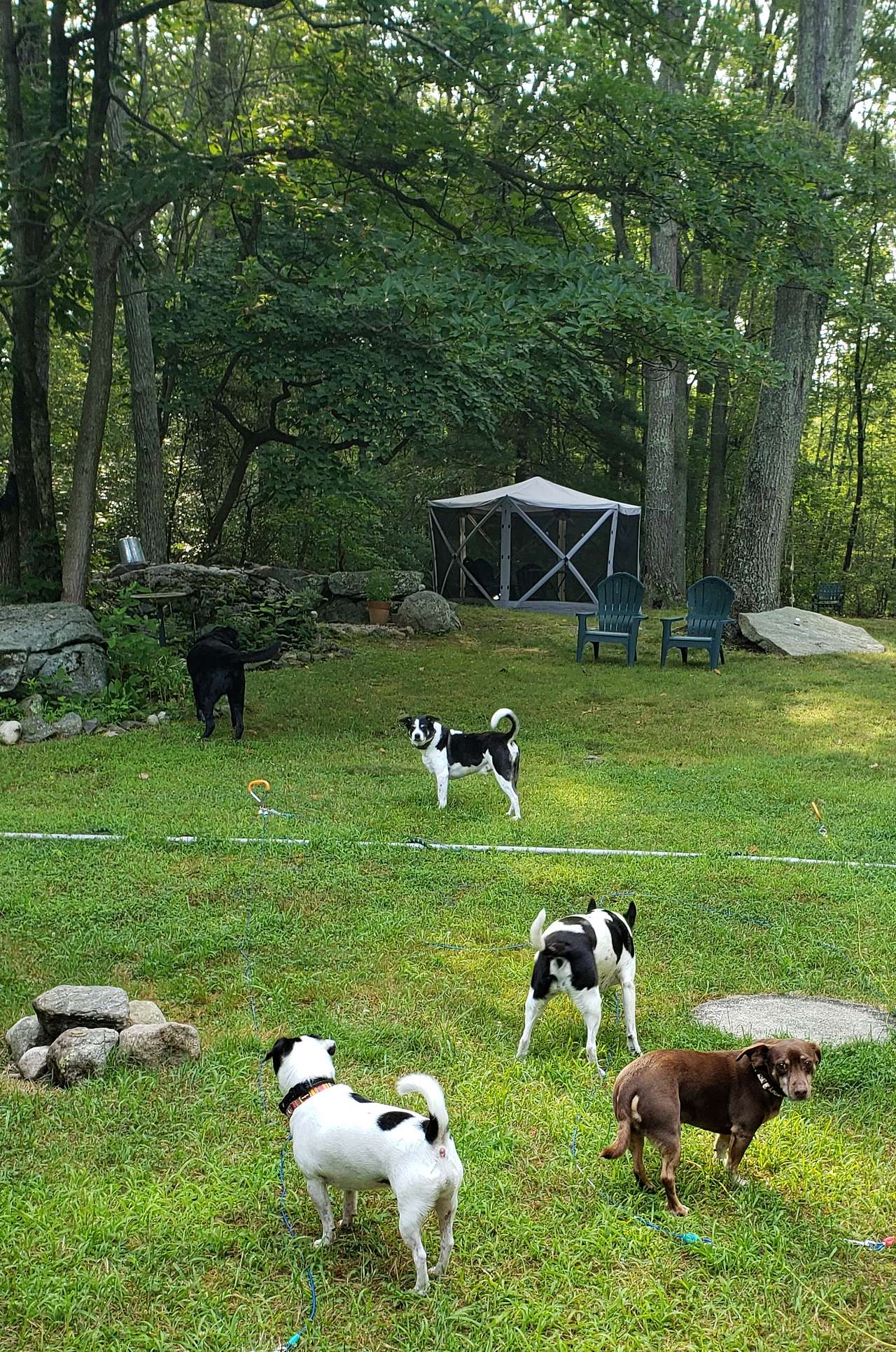 Private 2.2-Acre RV Basecamp on Route 3 | Loaded with Amenities | Centrally Located near I-95