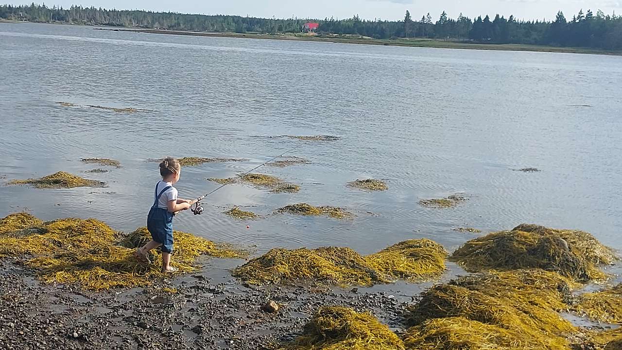 Wild Islands Camping by the Sea