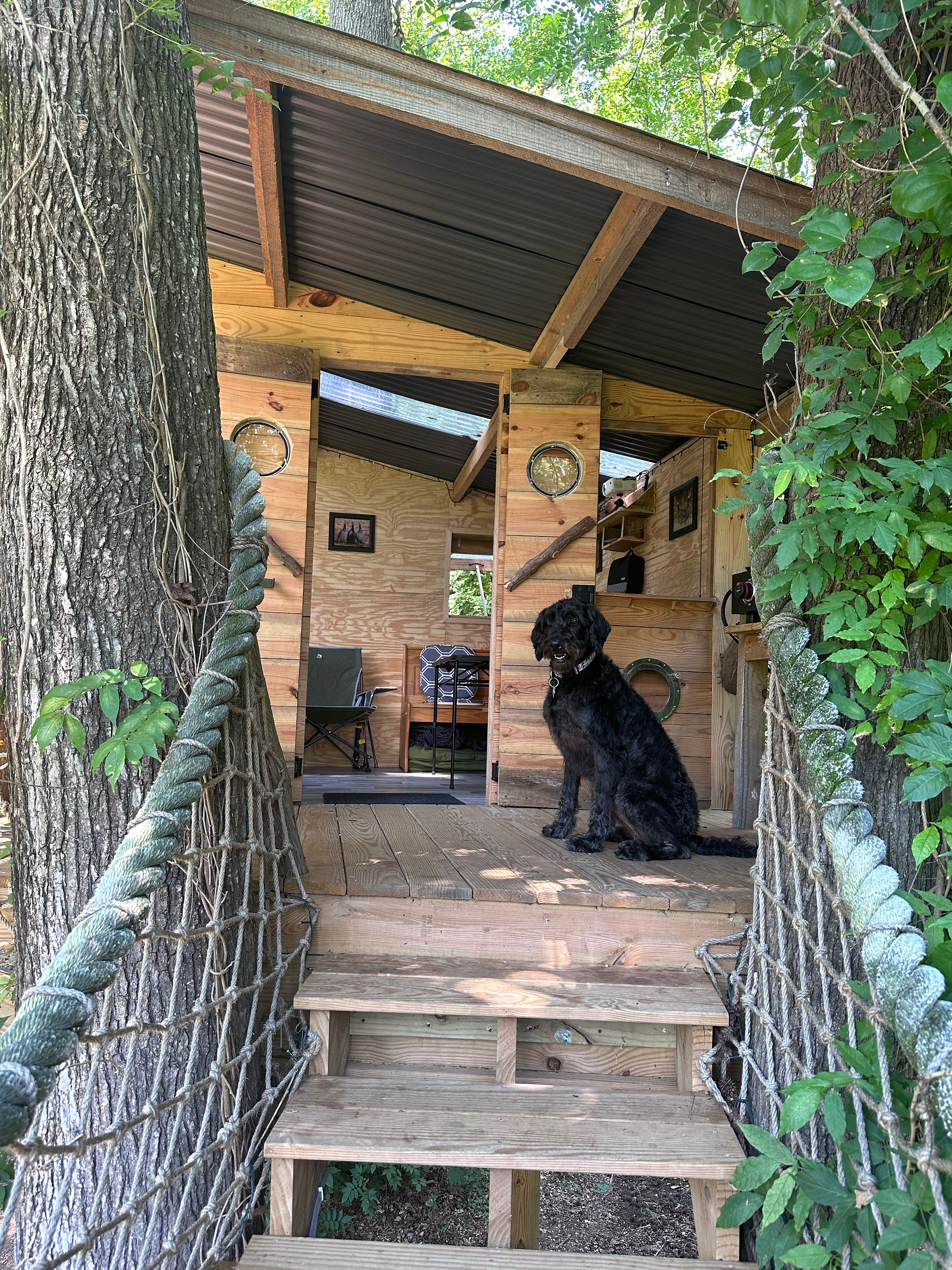 The Guinea Farm, Field, and Forest