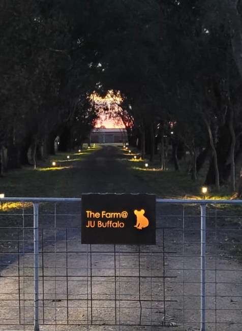 The Farm @ JU Buffalo (S Gippsland)