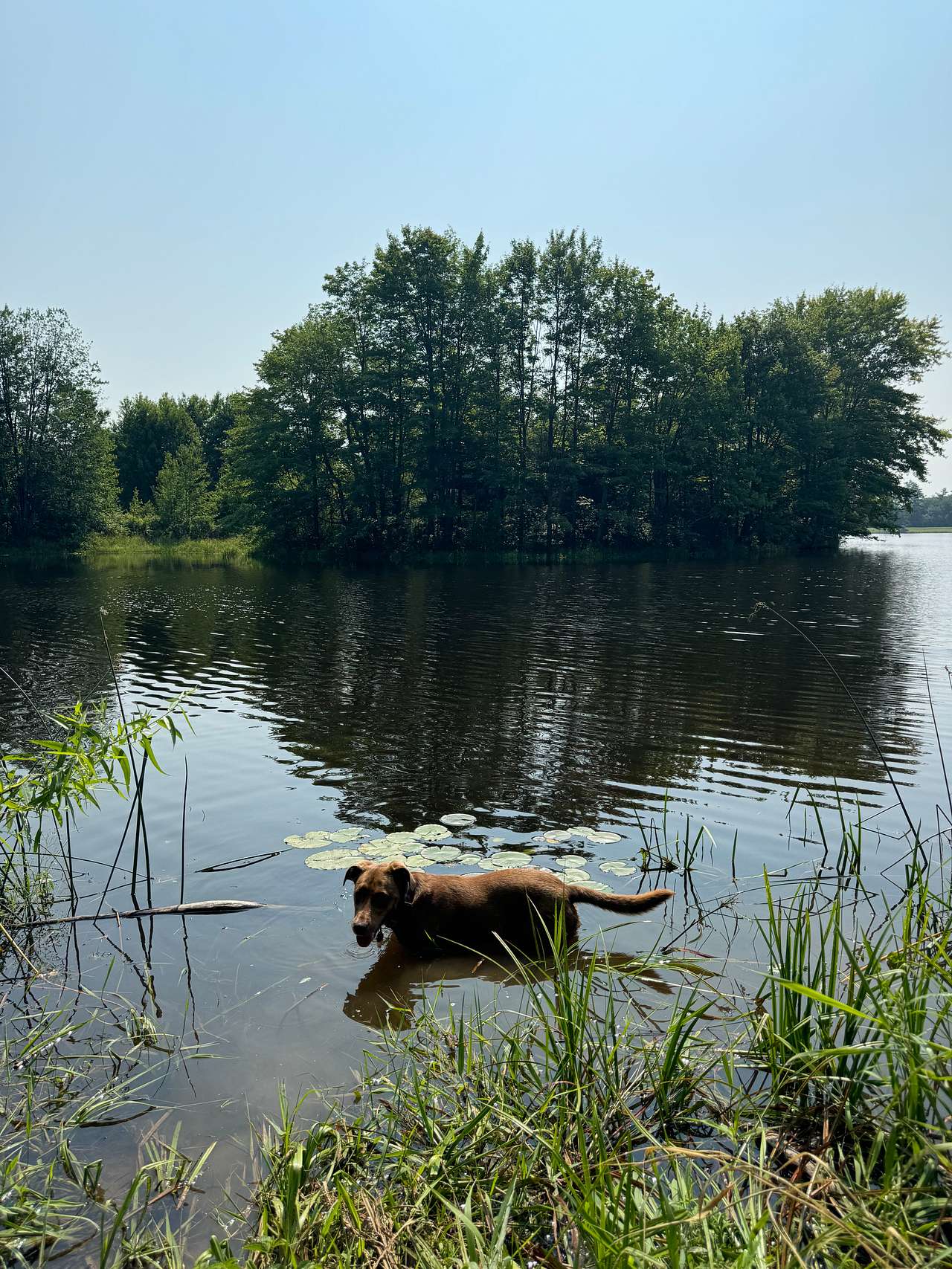 Waters Edge @ Eweturnfarm