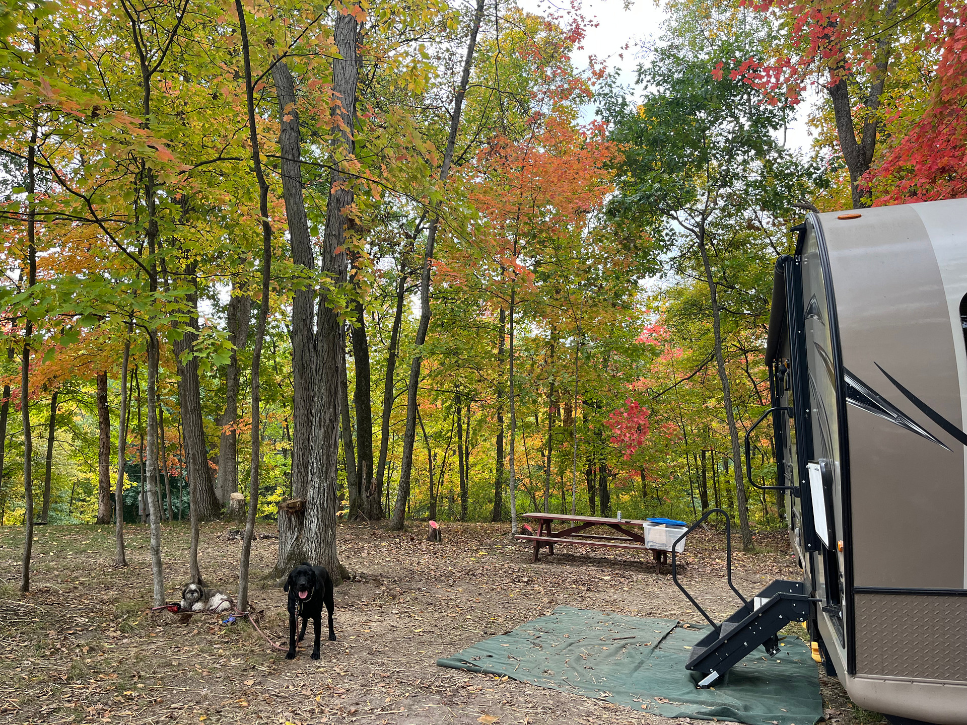 WHY Camp Worth Healing Yourself