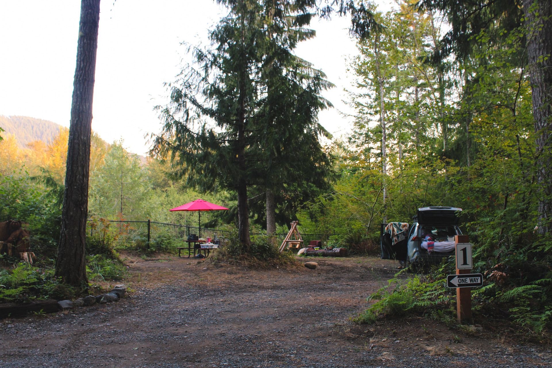 Site 1 Overview