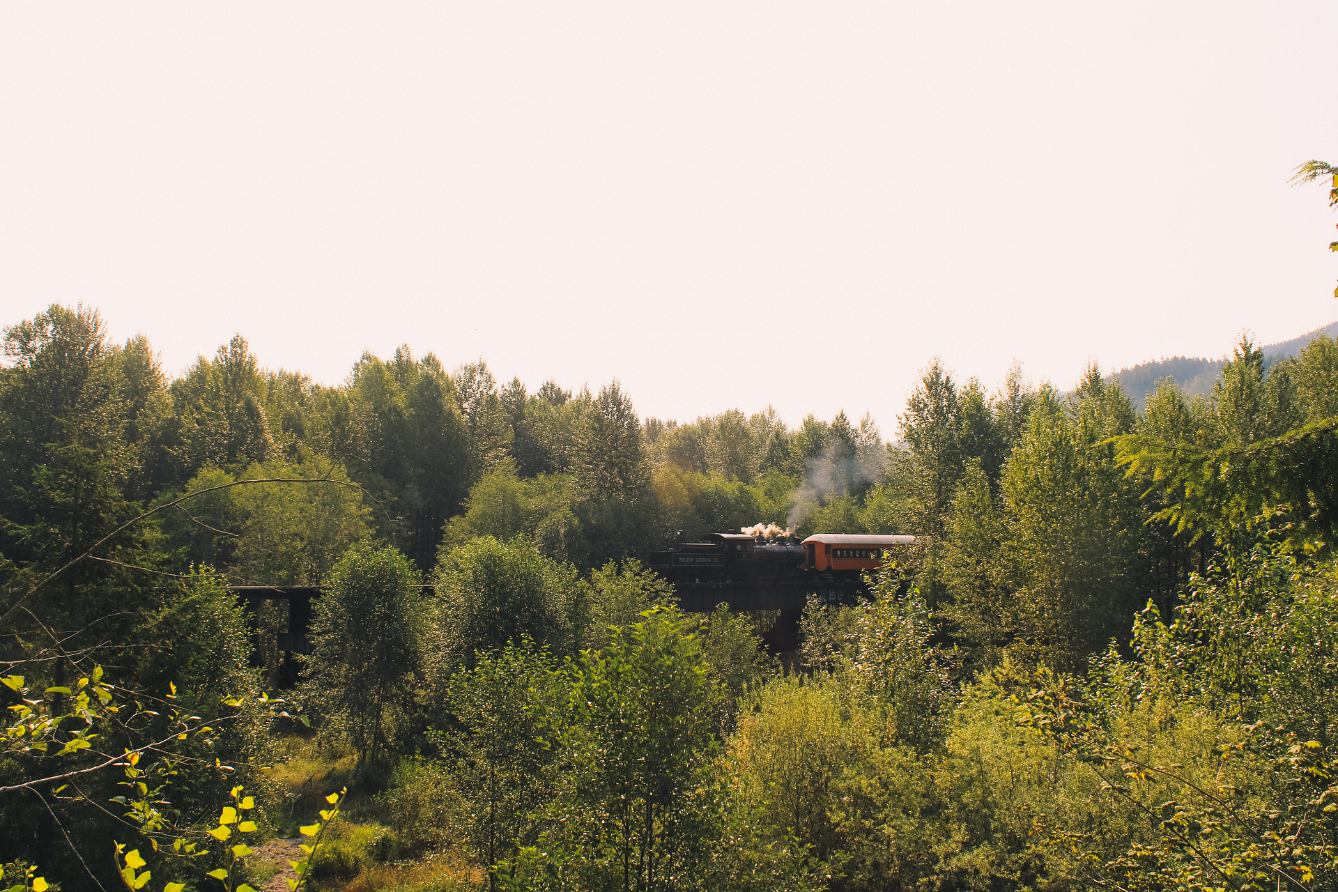 View of the train heading its way back from Mt. Rainer