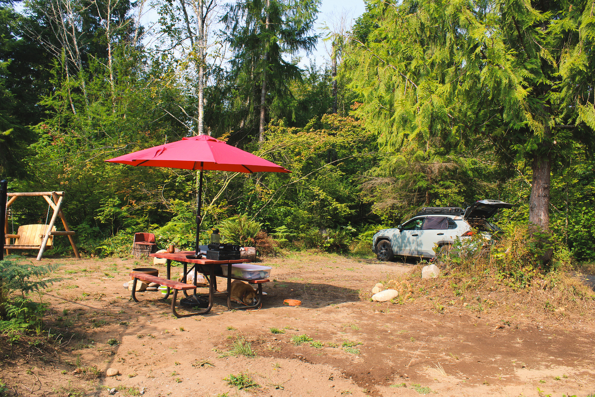 Site 1 overview