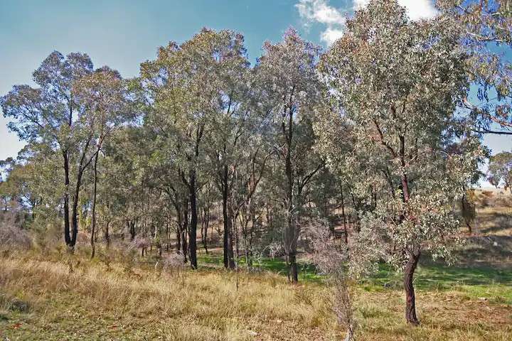 The Smallest Country In Australia