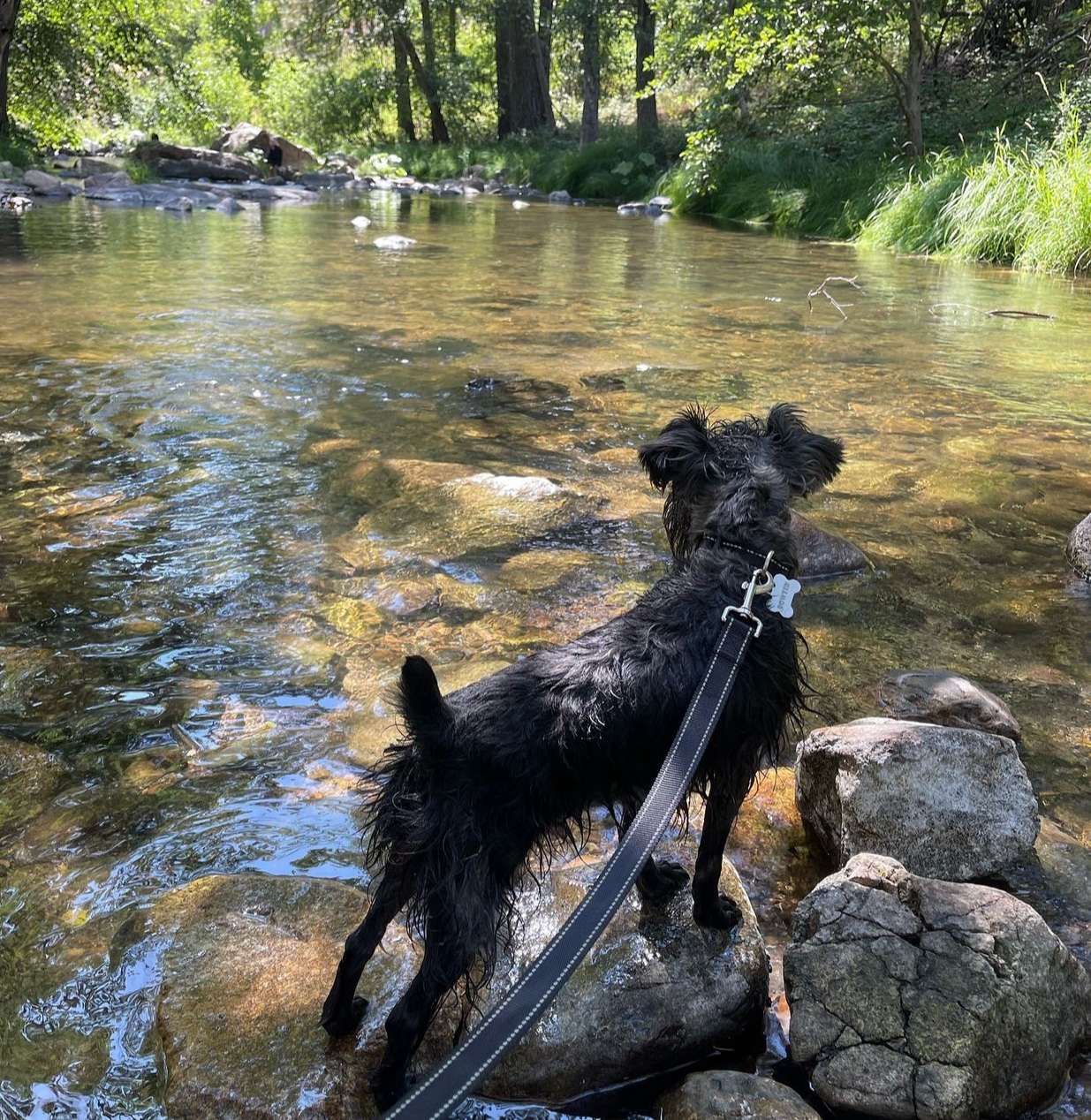 River Ranch Campgrounds