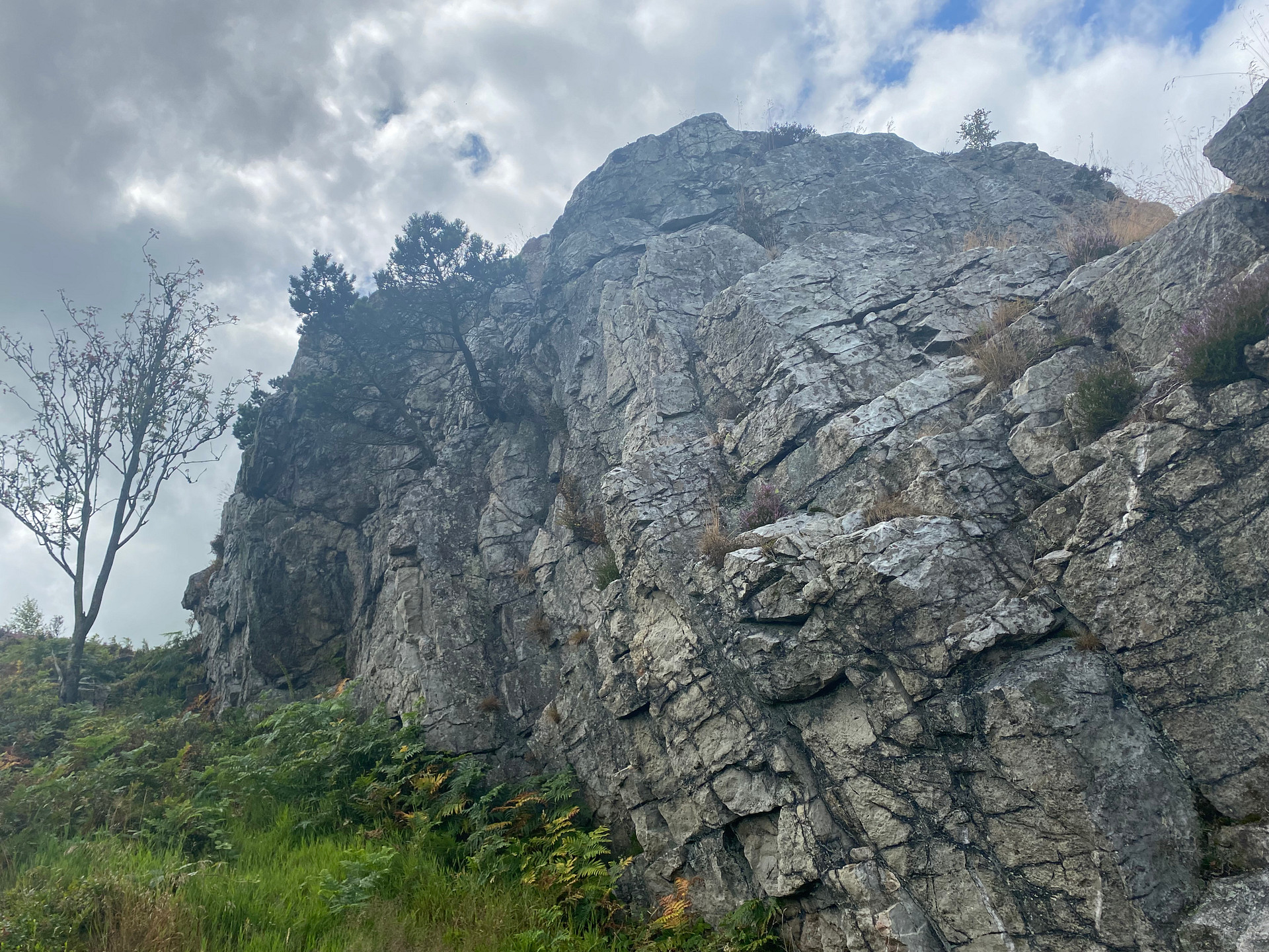 Nipstone Rock is a short 10 minute walk from campsite to top
