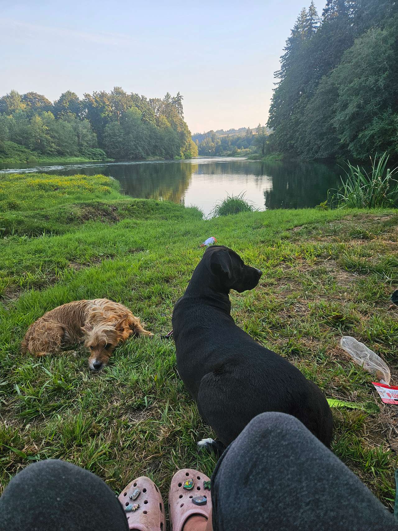 Cowlitz River Camping