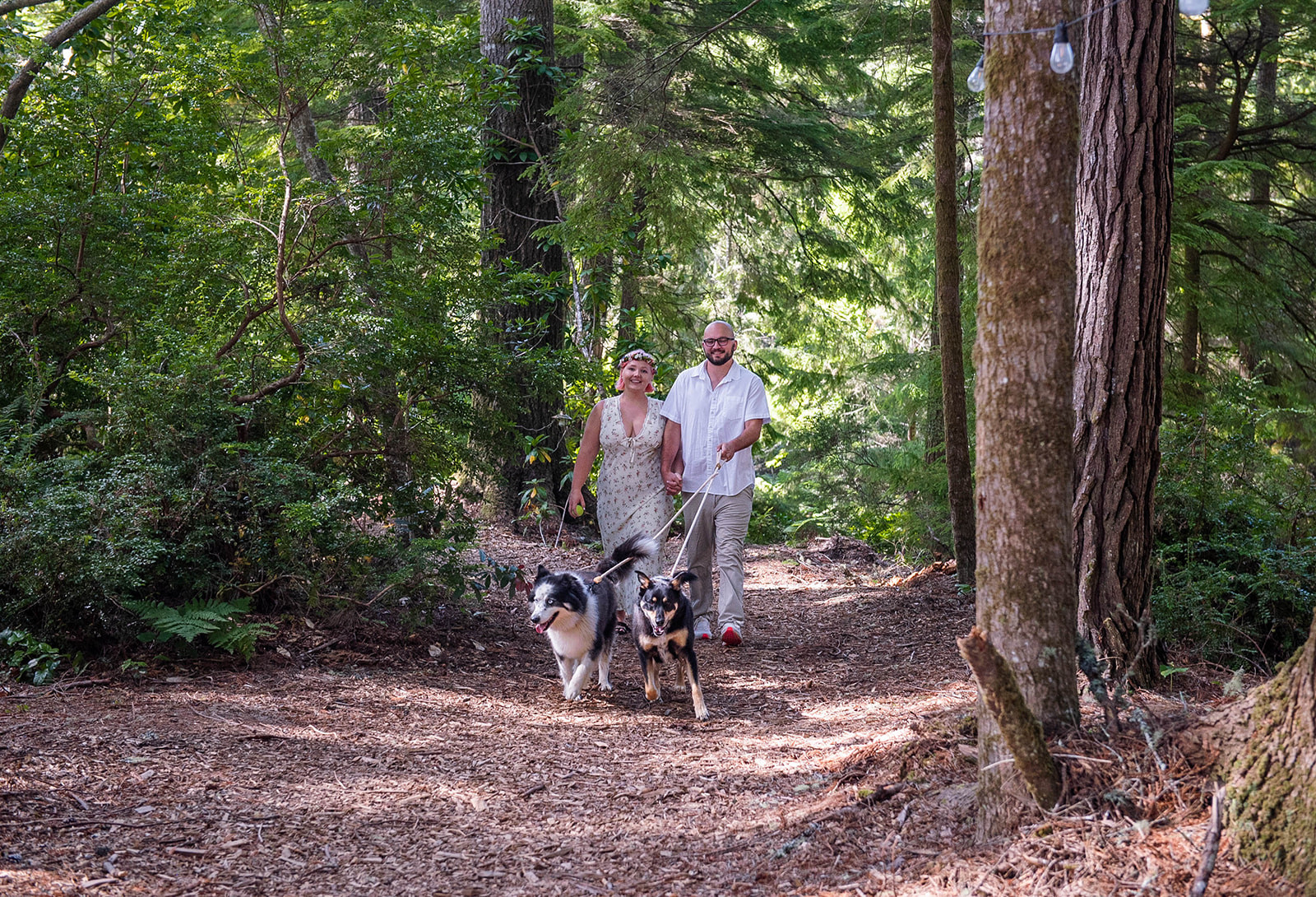 Engagement photoshoot at Foxfern cabin💍🦊🌲📷
Add on a photo session during your stay!