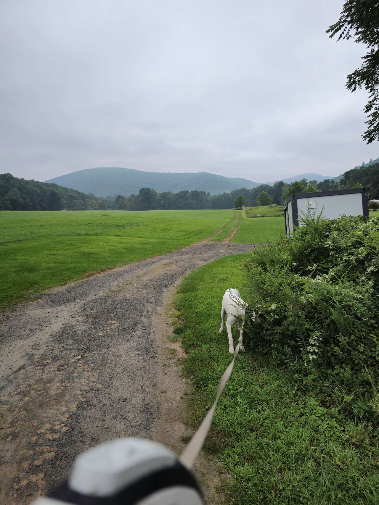 NEWE - Equinunk Campground