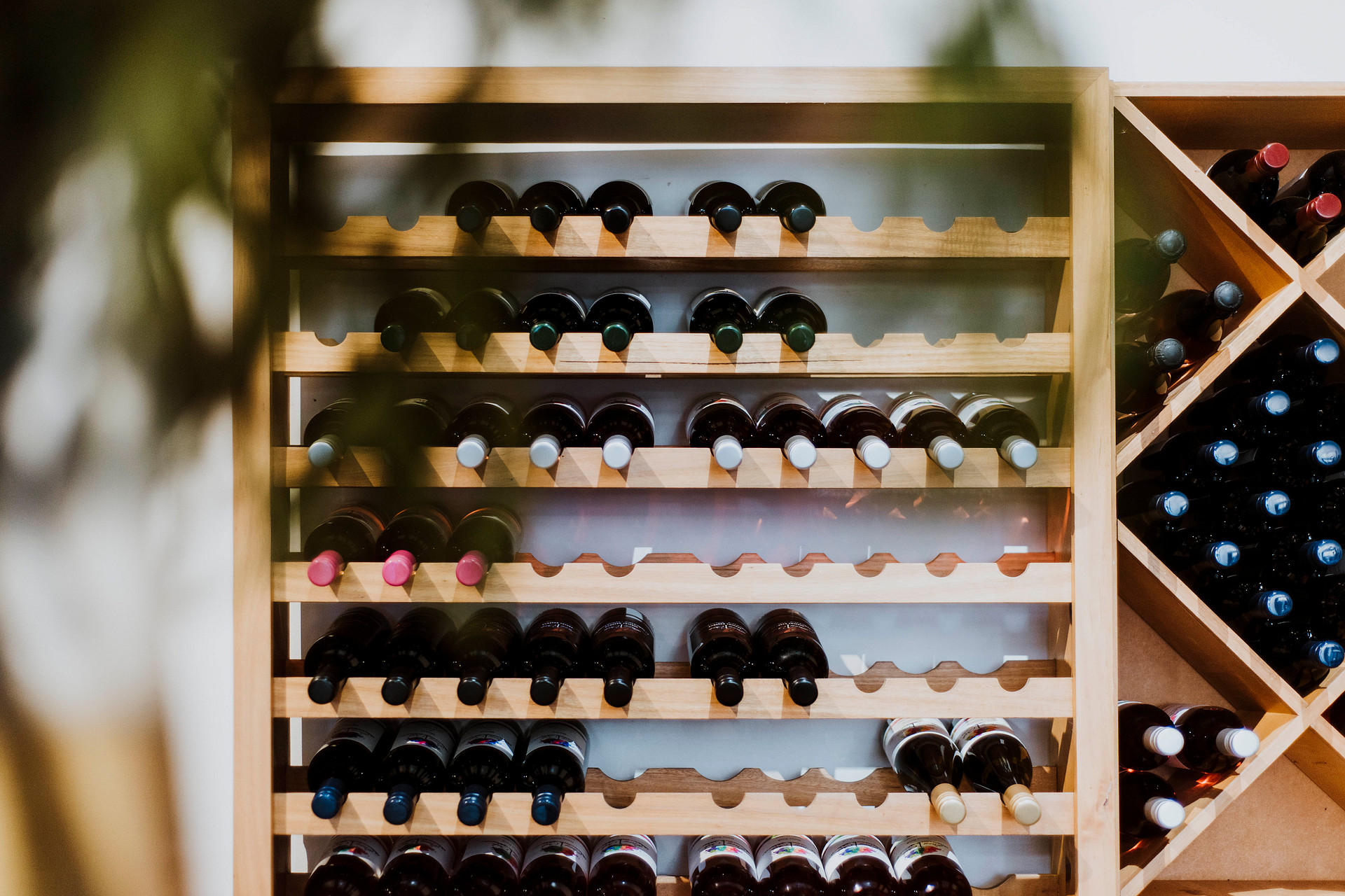 Vans in the Vines @ Lazy Oak Wines