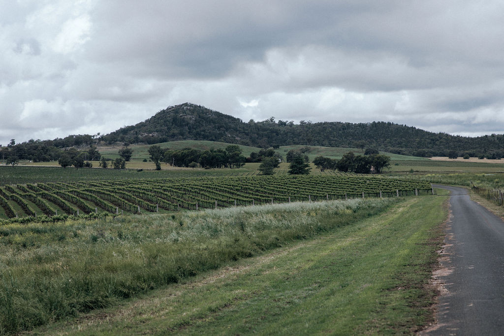 Vans in the Vines @ Lazy Oak Wines