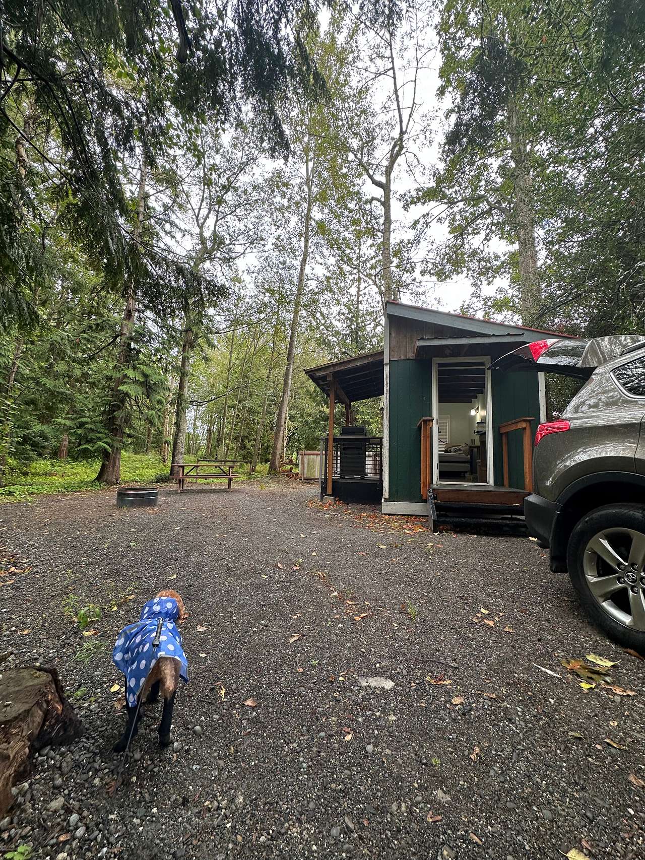 Fern Hill Acres campground