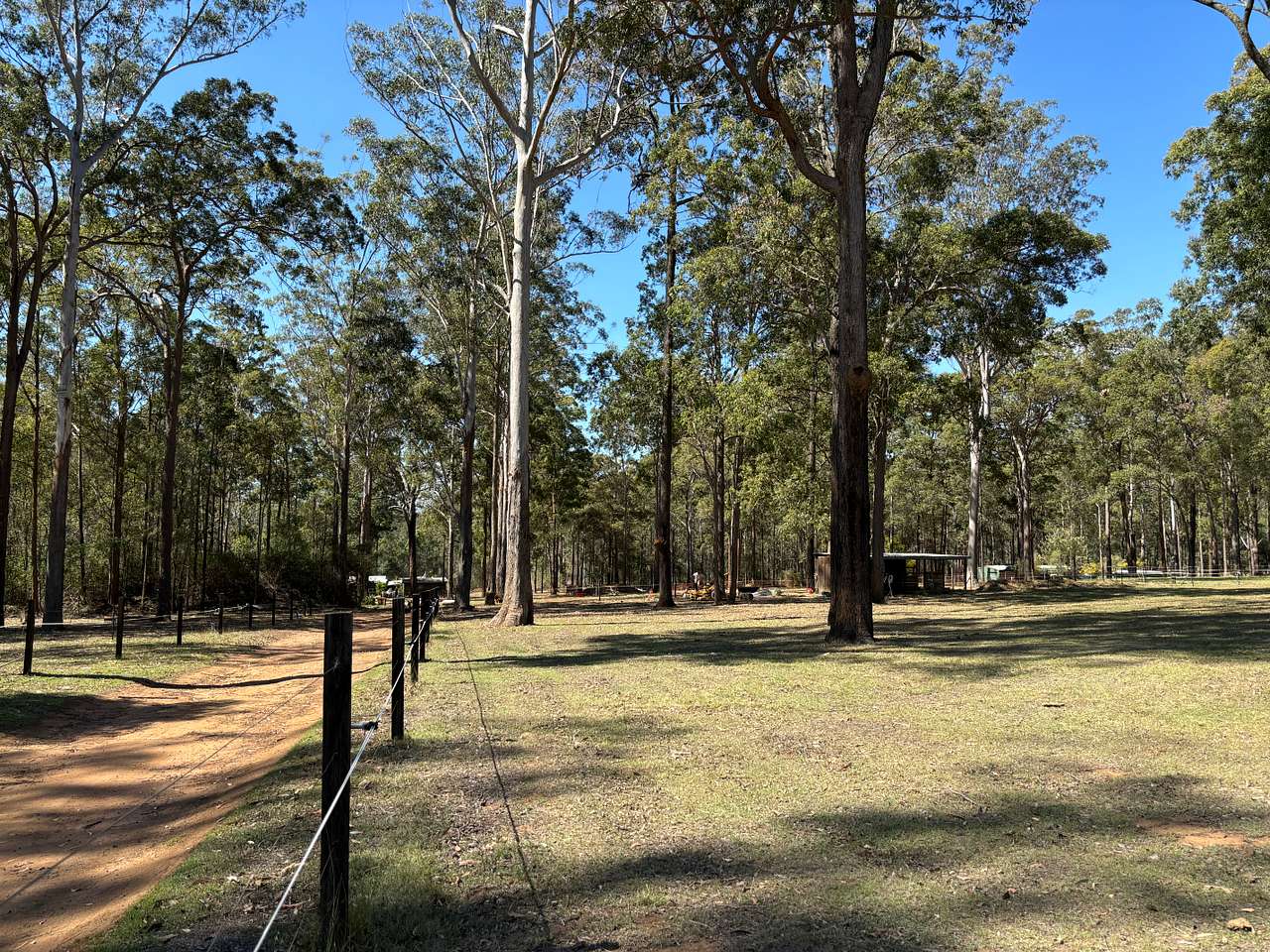 Blackbutt Permaculture Farm Camp