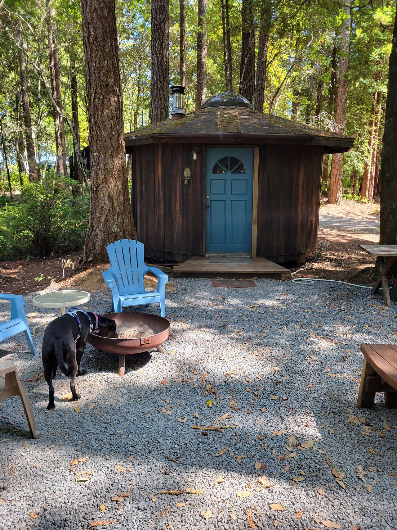 Pickle Barrel Cabin and Camp