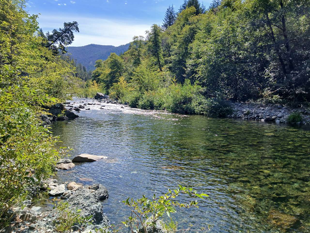 Azalea River
