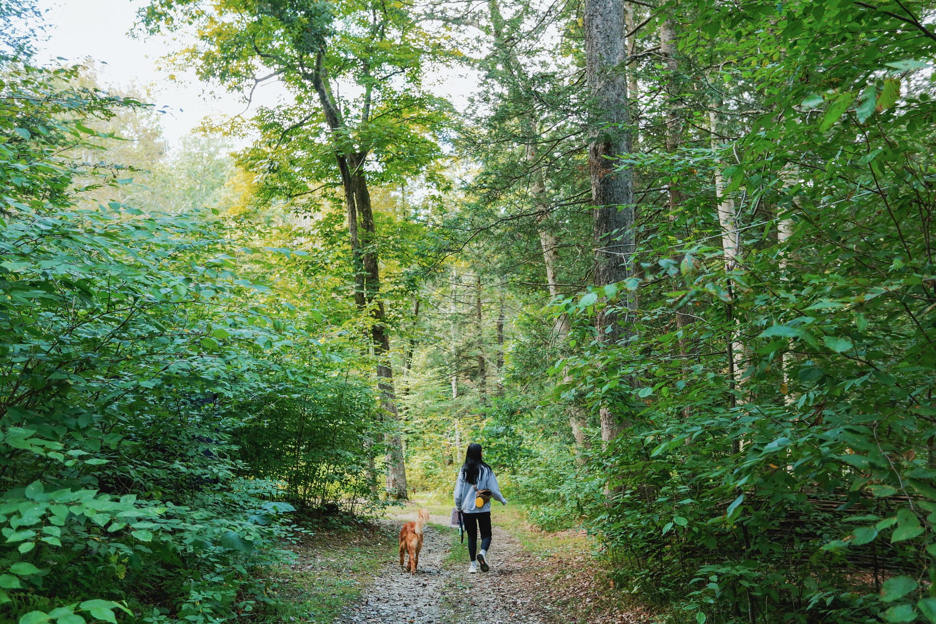 Hucklebuck Railway Campsites