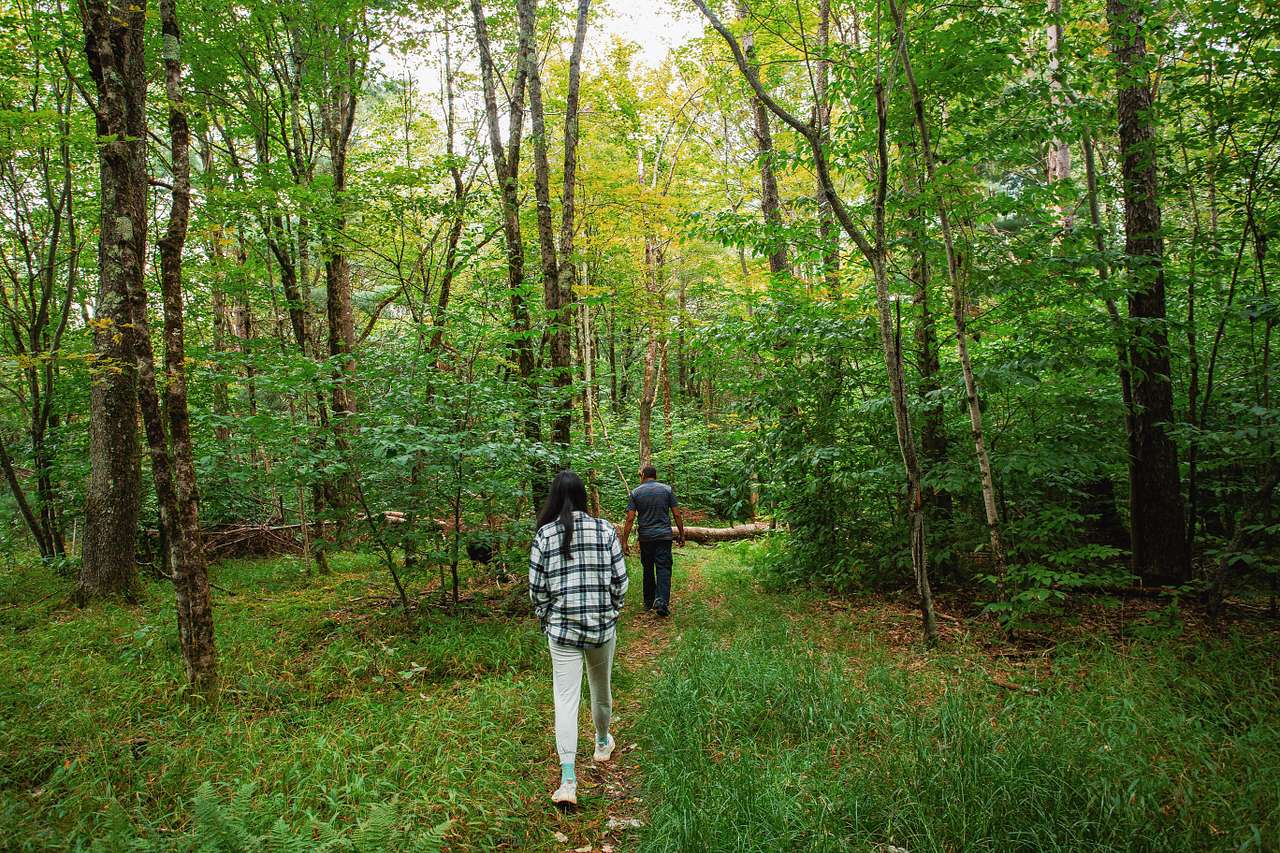 Blue Wind Nature Camp