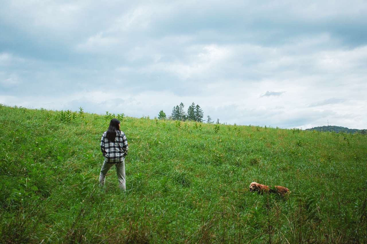 Mountain Bliss