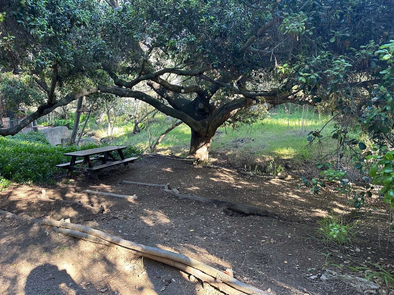 Wild Seeds Ranch
