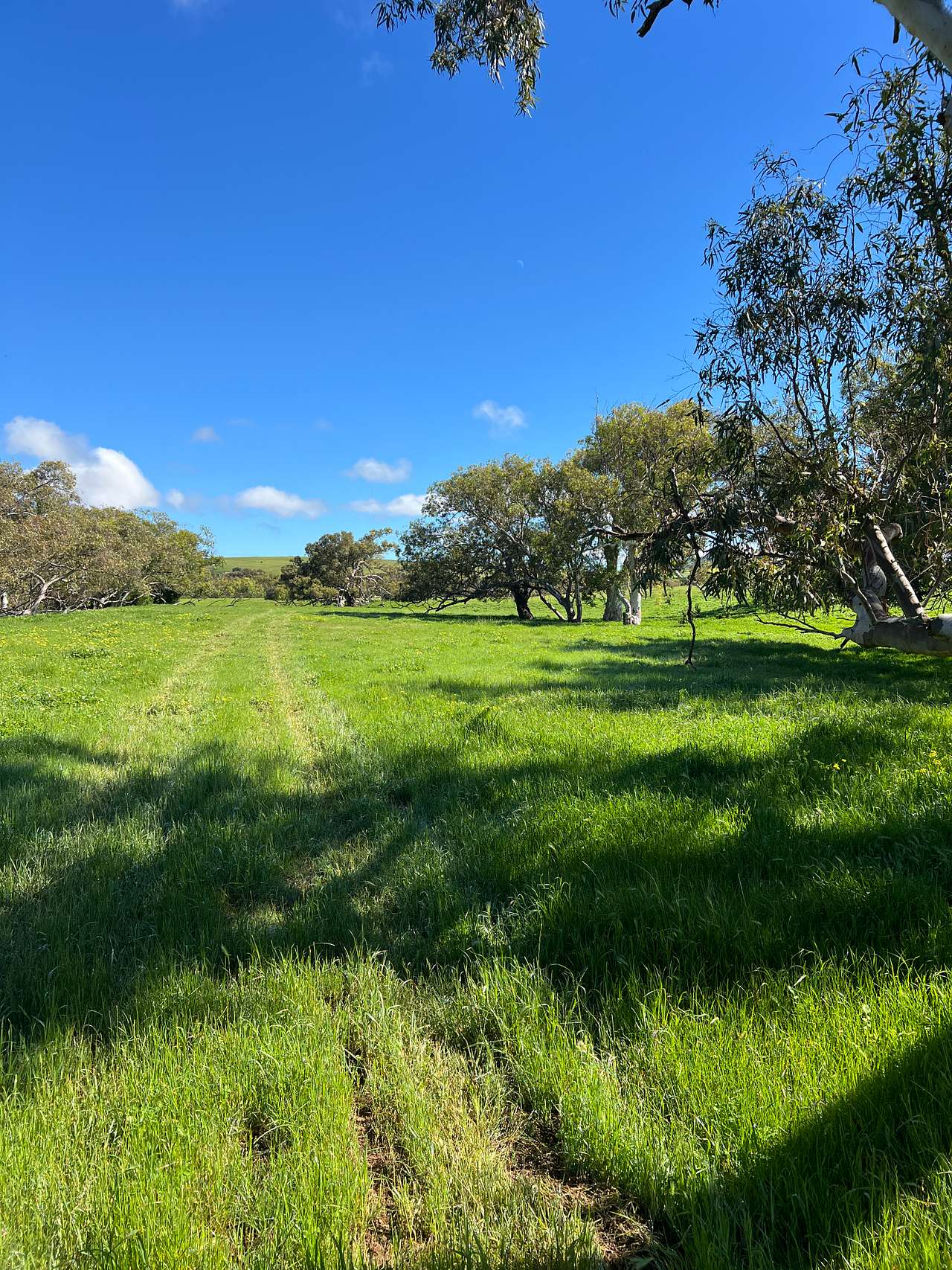 Cutubury Farm
