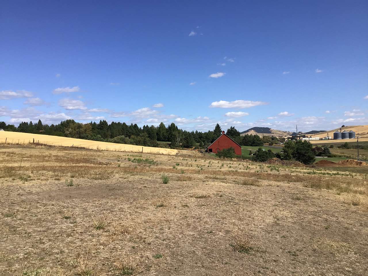 Triple Tree Ranch