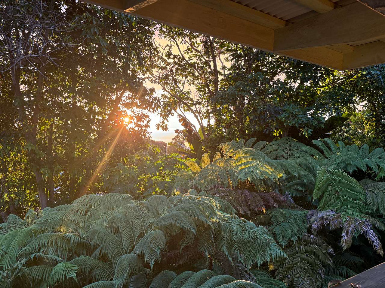 Jungle Cottages