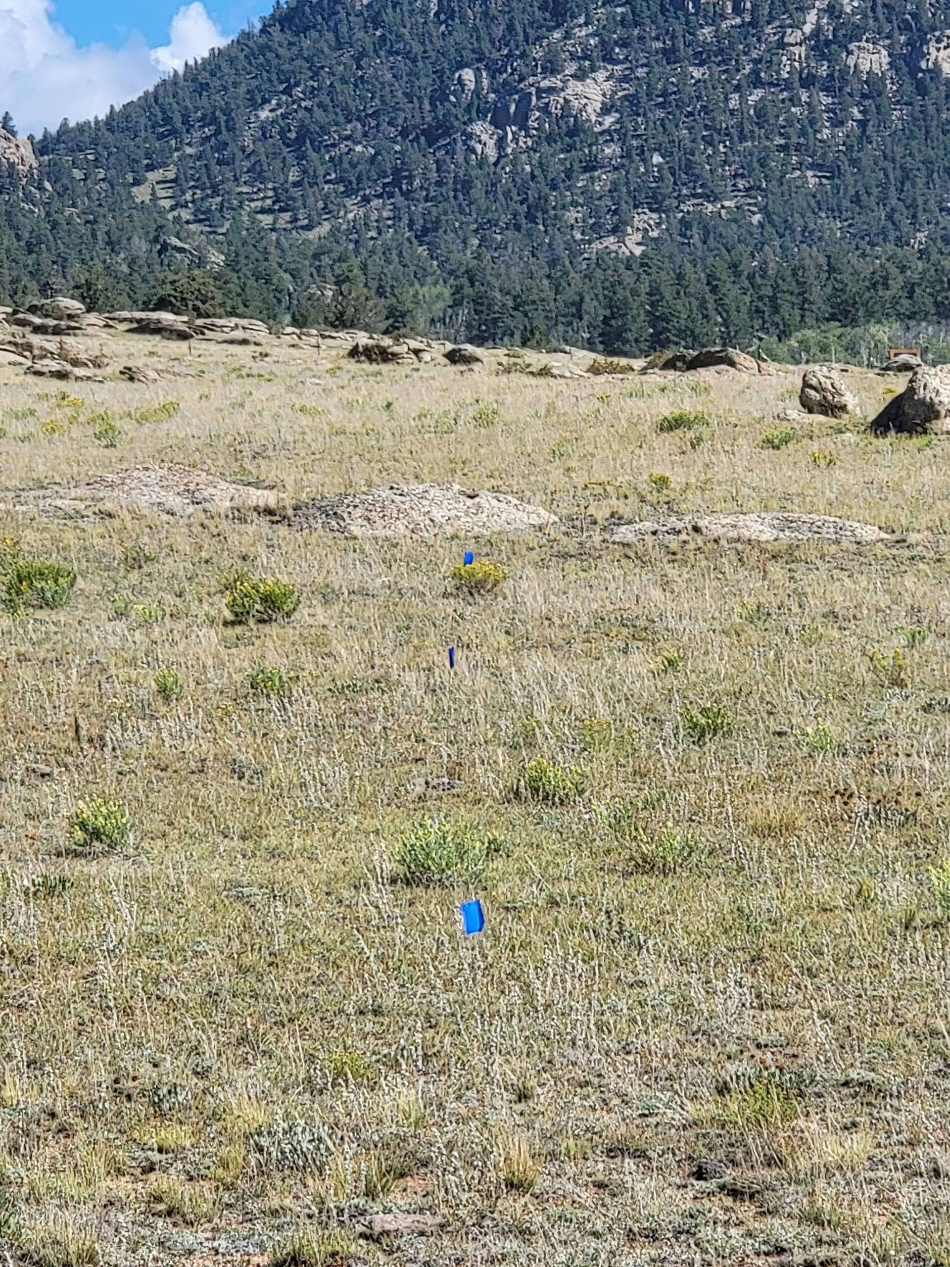 Open 40 Acres Near The Dream Stream