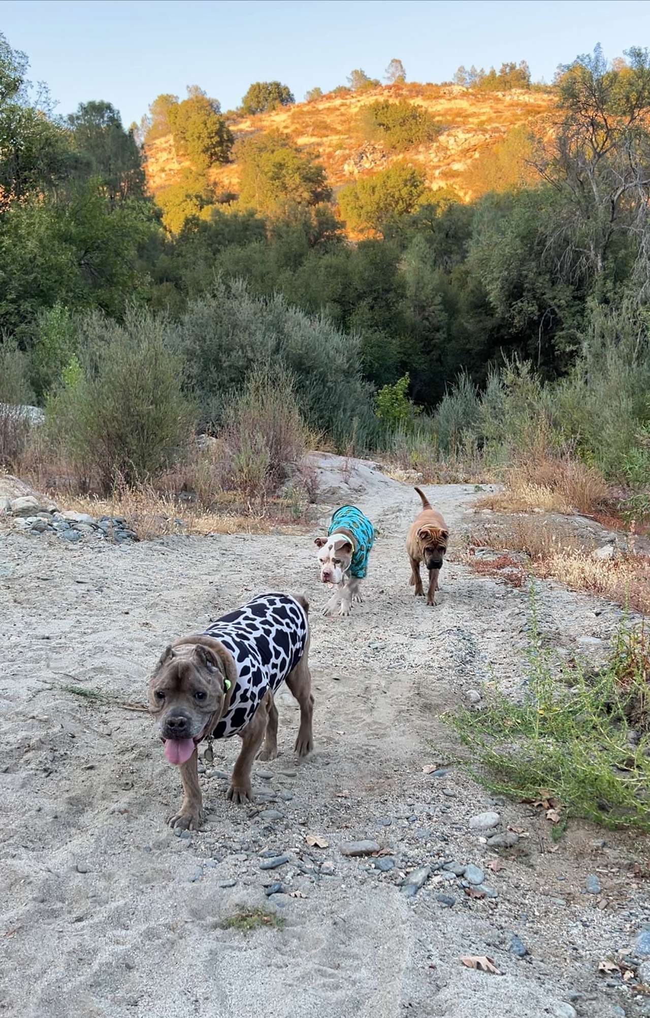 Walk from the swimming hole 